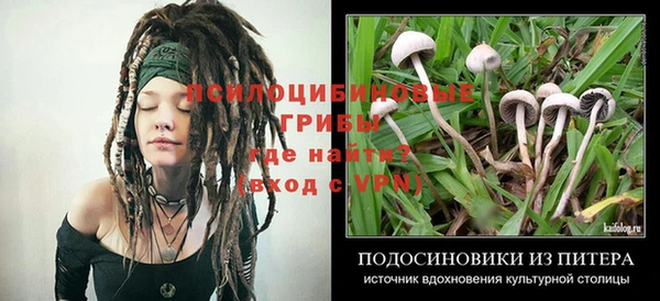 a pvp Протвино