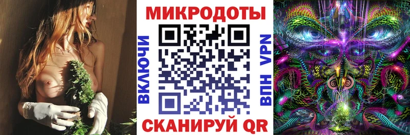 Галлюциногенные грибы прущие грибы OMG ссылки Талица купить наркотики цена